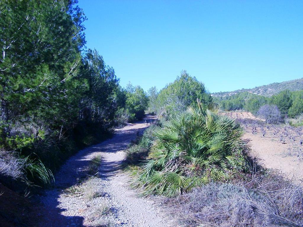 Can Maginet Avinyonet del Penedes Exterior foto
